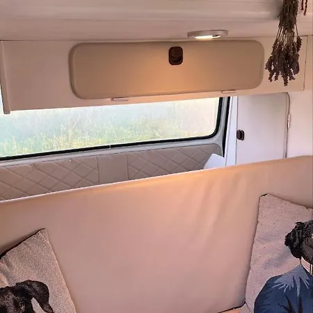 Rent A Vw T3 Camper Van With Blue Classics